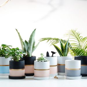 POTS AND PLANTERS